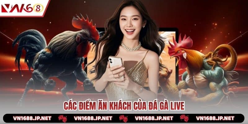 Các điểm ăn khách của đá gà live