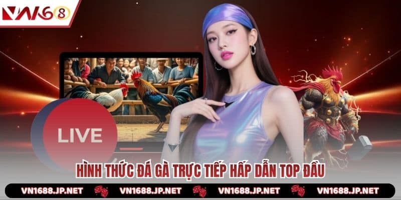 Hình thức đá gà trực tiếp hấp dẫn top đầu