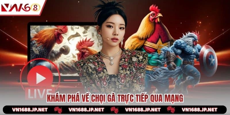 Khám phá về chọi gà trực tiếp qua mạng